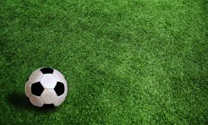  揭秘九游世界杯压球网盘口：安全与风险并存（九游世界杯压球网盘口）-第1张图片